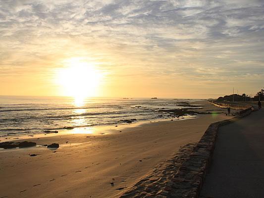 Bayside Guesthouse Port Elizabeth Exterior foto